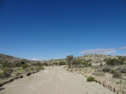 white_dirt