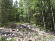cabin_remnants