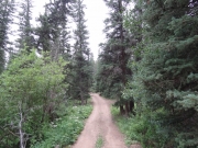 early_trail
