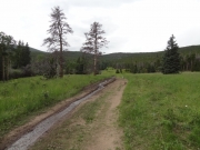 mud