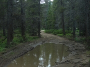 muddy