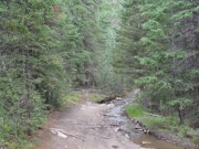along_elk_creek