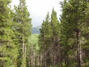 distant_mountain