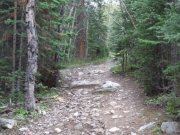 first_rocks