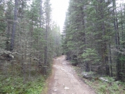 intersection_with_ballard_road