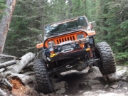jerry_in_the_rock_garden_part_2