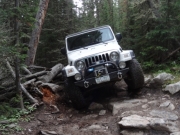 roger_in_the_rock_garden_part_2