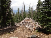 timber_part_1