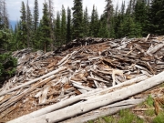 timber_part_2