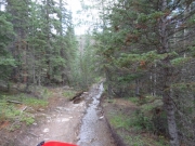 wet_climb