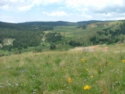 big_view