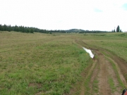 early_trail