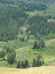 grizzly_cow_camp_in_the_distance