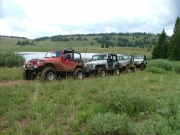 jeeps