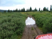 puddle_crossing