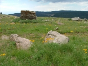 rocks_and_flowers