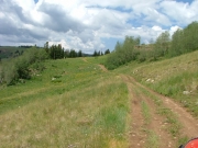 trail_stretching_ahead