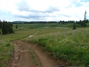 trail_to_water
