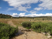 creek_crossing