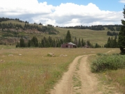 grizzly_cow_camp_part_1