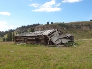 grizzly_cow_camp_part_2