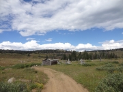 grizzly_cow_camp_part_3