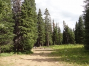 grizzly_cow_camp_part_8