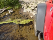 monica_in_the_creek