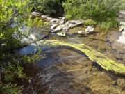mountain_stream