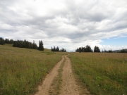 open_space