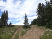 stay_on_the_trail