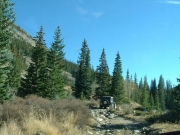 ladd_on_the_trail