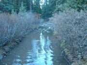 muddy_water