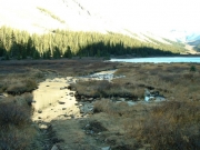 old_trail