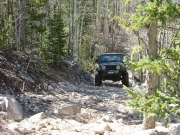 bob_on_the_trail