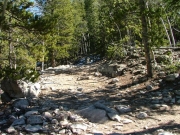 bumpy_trail