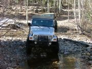 dane_through_the_stream