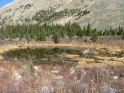 pond