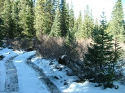 snowy_trail