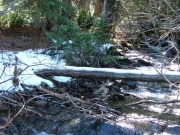 stream
