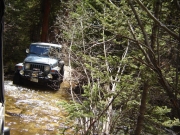 matt_in_the_second_stream