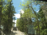 matt_up_the_steep_hill