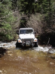 todd_in_the_second_stream