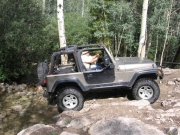 bill_across_the_creek