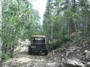 robert_on_the_trail