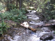 second_creek_crossing