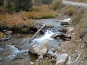 creek_by_the_trail