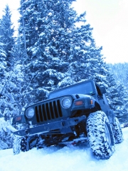 bob_in_deeper_snow_part_5