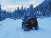 bob_on_the_trail_part_1