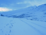 guanella_pass_trail